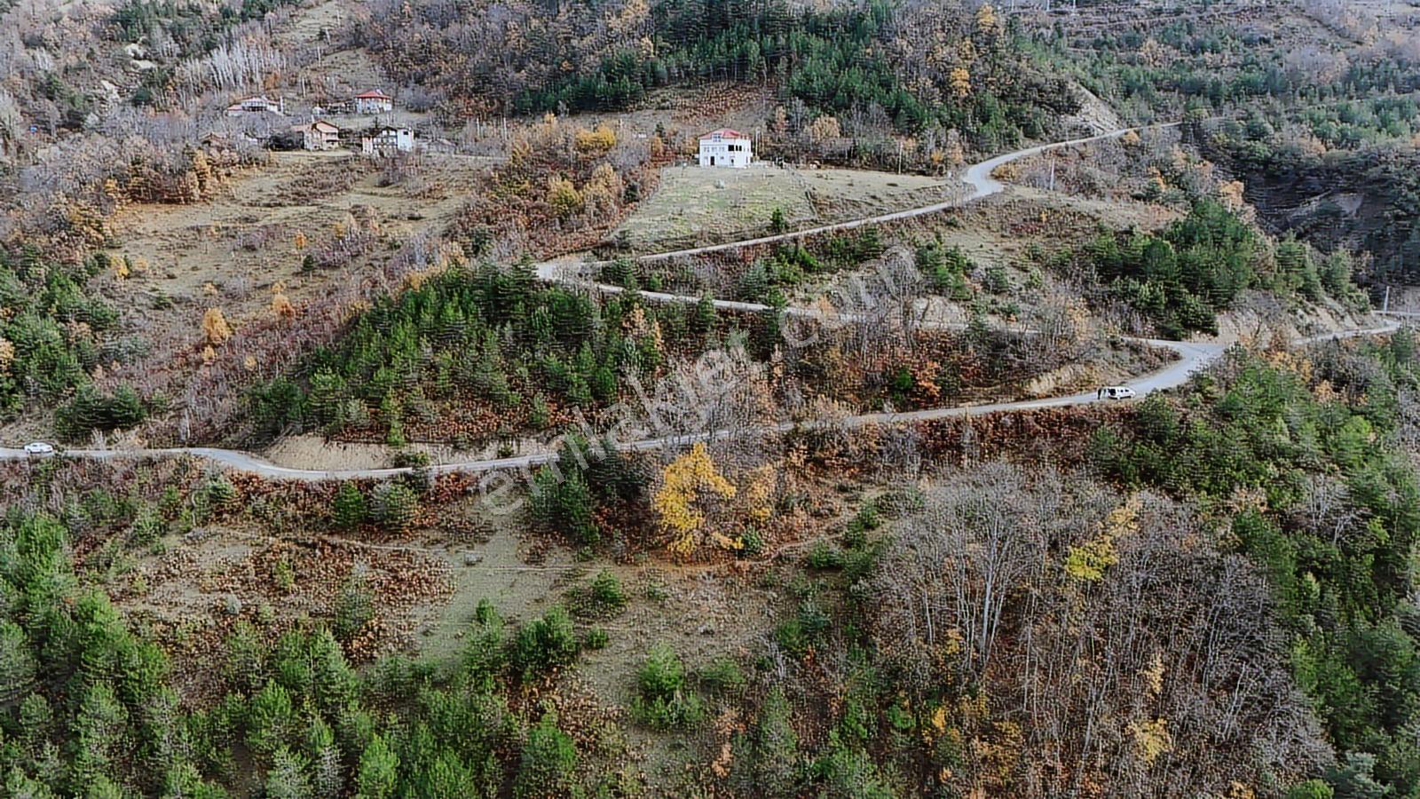Kastamonu Çatalzeytin Duran 4.837 M2 Fırsat Tarla - Görsel 13