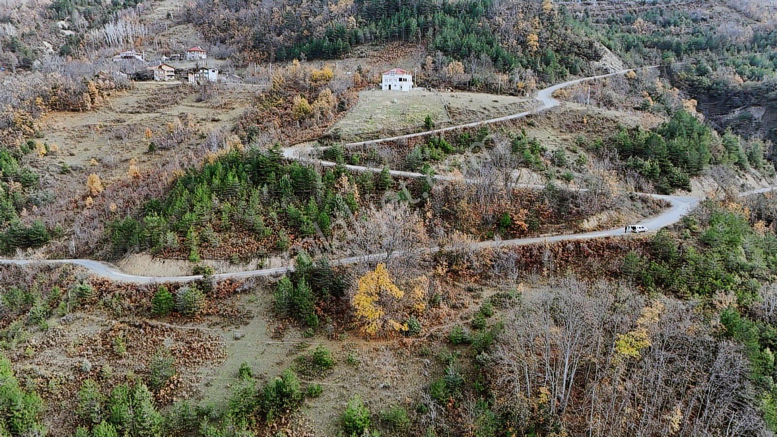 Kastamonu Çatalzeytin Duran 4.837 M2 Fırsat Tarla - Görsel 14