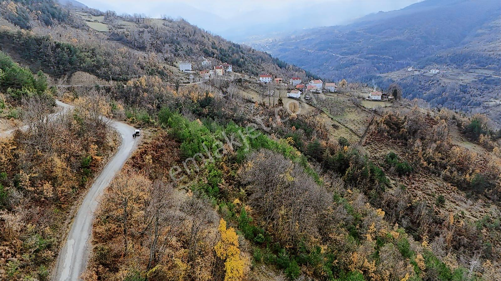Kastamonu Çatalzeytin Duran 4.837 M2 Fırsat Tarla - Görsel 11