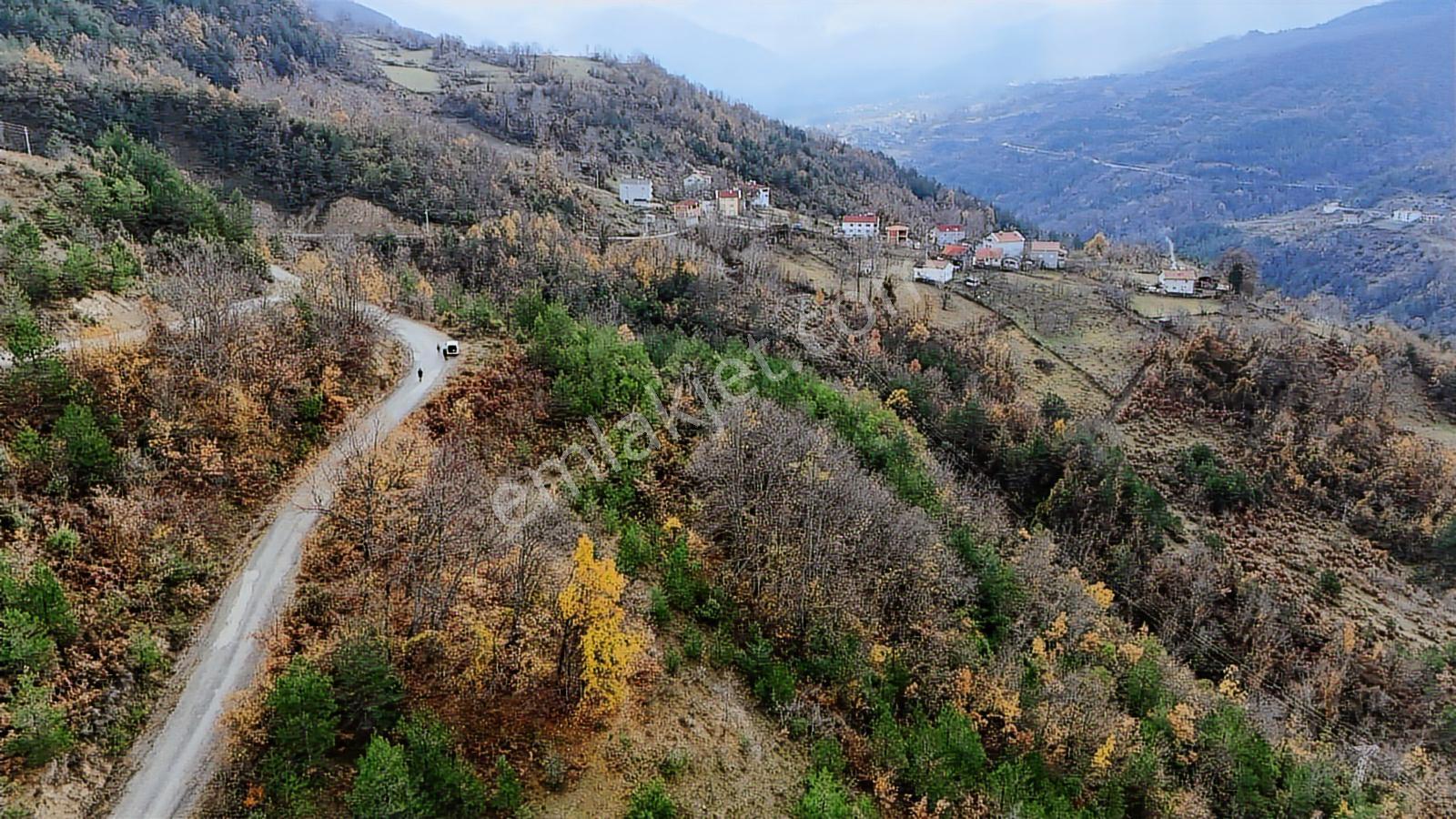 Kastamonu Çatalzeytin Duran 4.837 M2 Fırsat Tarla - Görsel 12