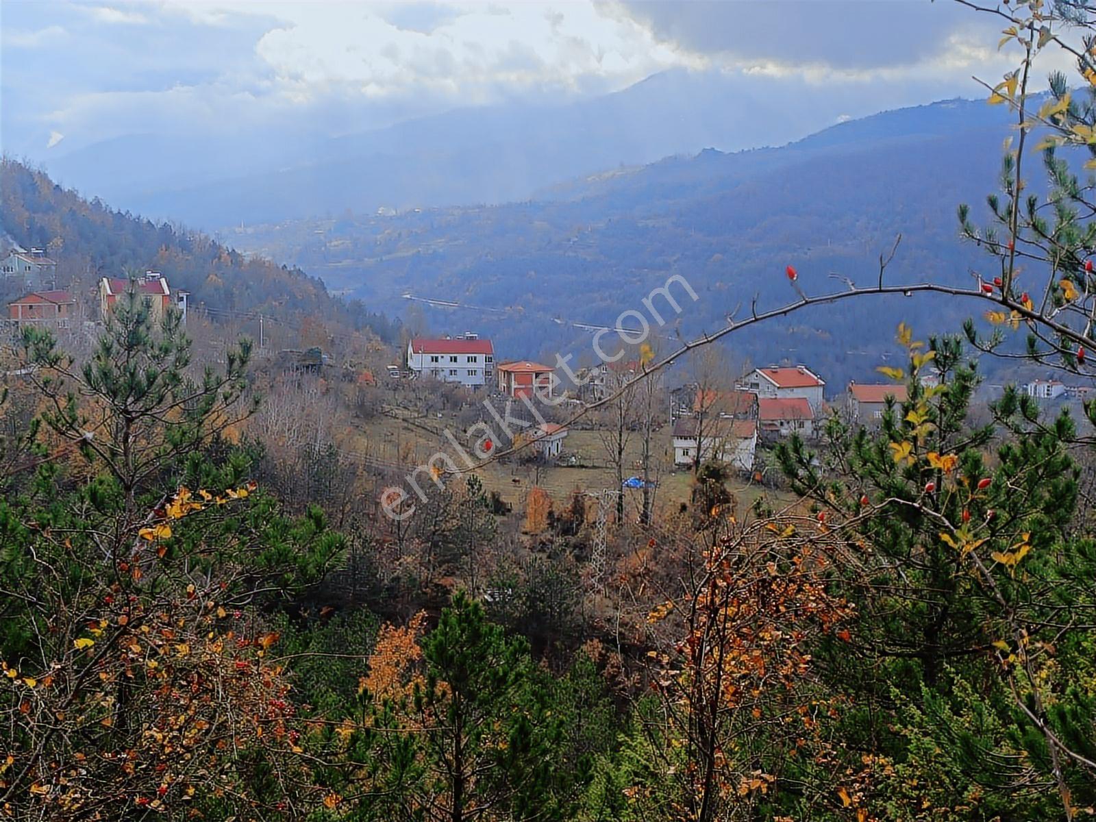 Kastamonu Çatalzeytin Duran 4.837 M2 Fırsat Tarla - Görsel 8
