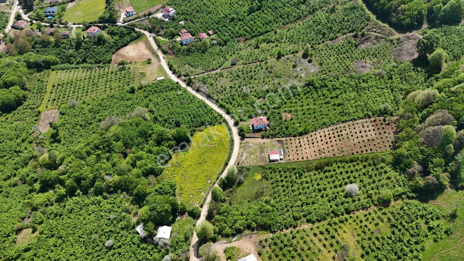 Yeşilliklerin Ve Temiz Havanın Adresinden İmarlı Satılık Arsa - Görsel 27