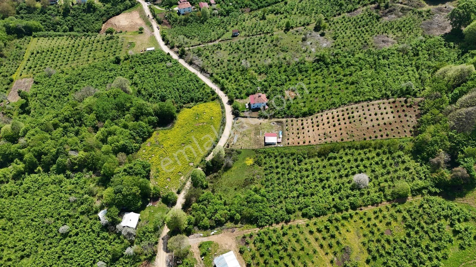 Yeşilliklerin Ve Temiz Havanın Adresinden İmarlı Satılık Arsa - Görsel 17