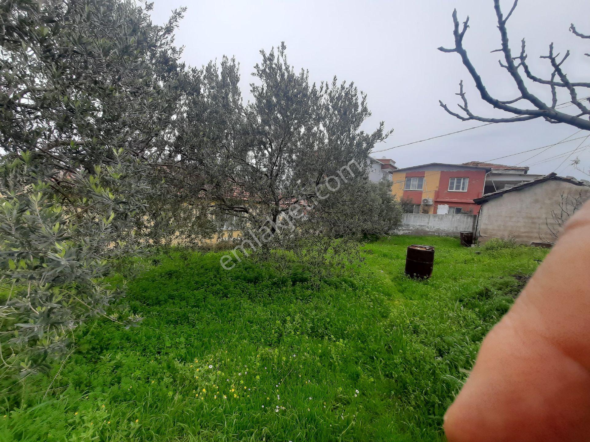 🔥 Akhisar Hacı İshak’ta 720m² Arsa İçinde Tepe Konumda Full Manzaralı Satılık 3+1 Müstakil Ev! 🔥 - Görsel 2