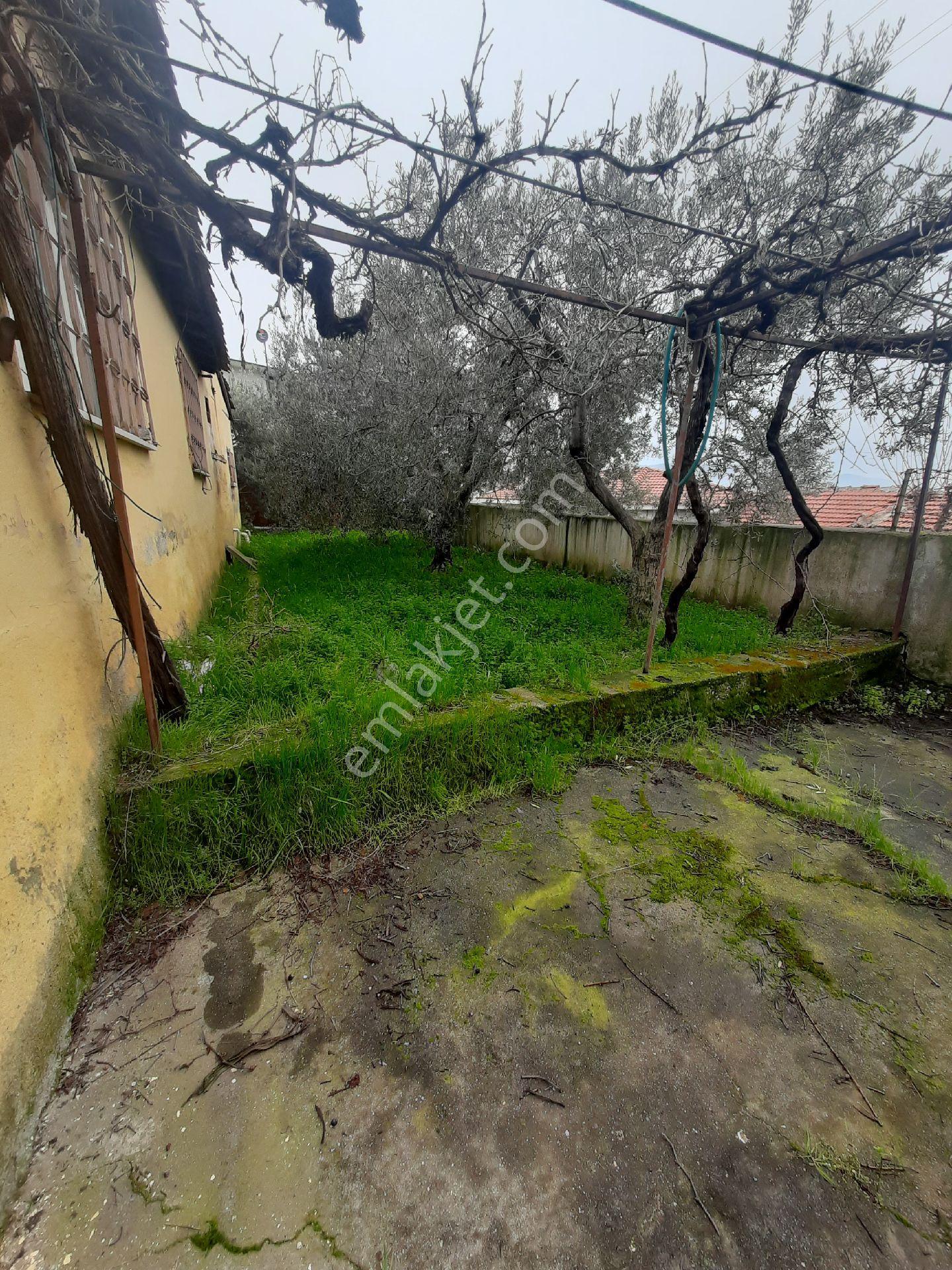 🔥 Akhisar Hacı İshak’ta 720m² Arsa İçinde Tepe Konumda Full Manzaralı Satılık 3+1 Müstakil Ev! 🔥 - Görsel 6