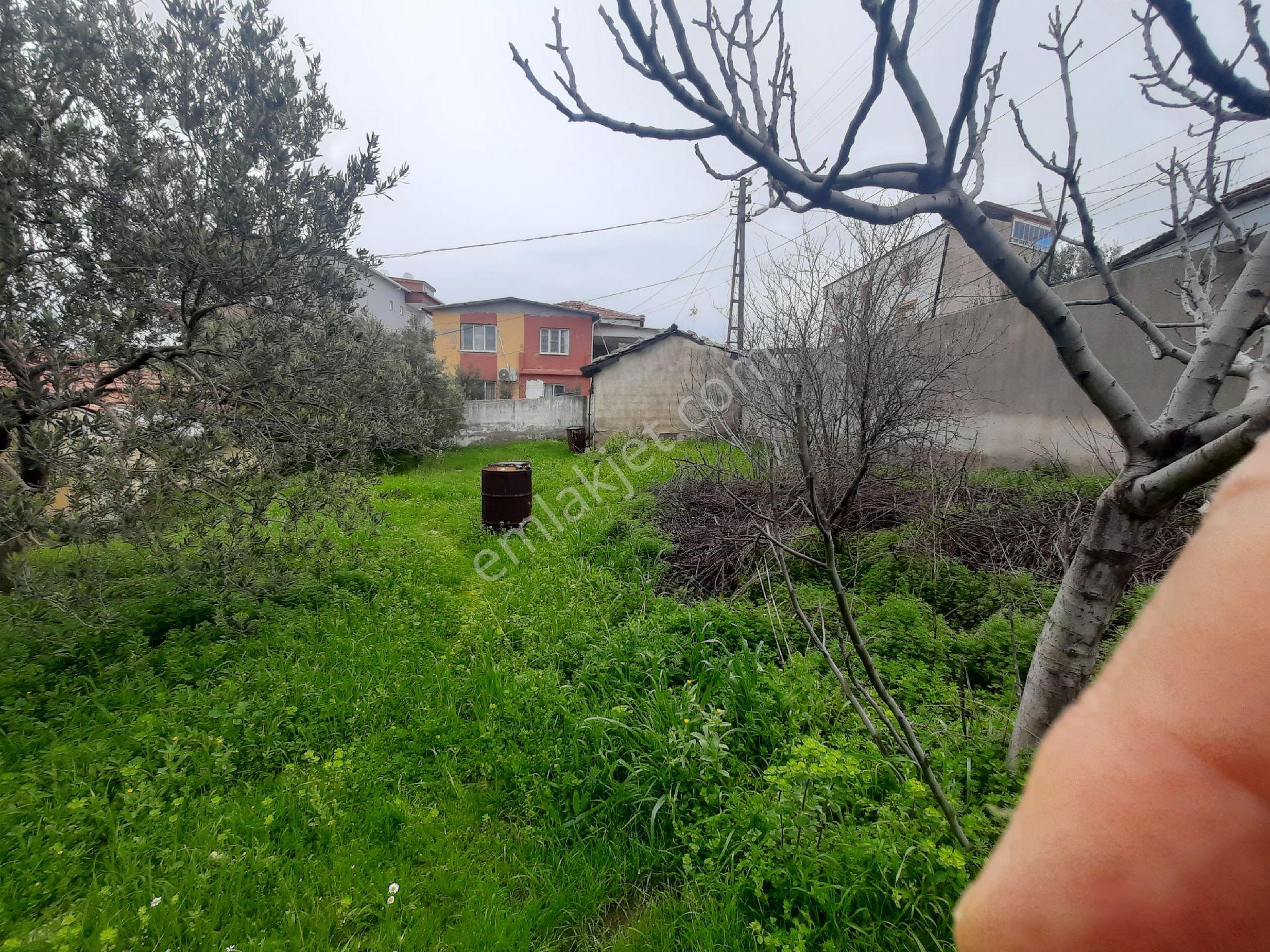 🔥 Akhisar Hacı İshak’ta 720m² Arsa İçinde Tepe Konumda Full Manzaralı Satılık 3+1 Müstakil Ev! 🔥 - Görsel 3