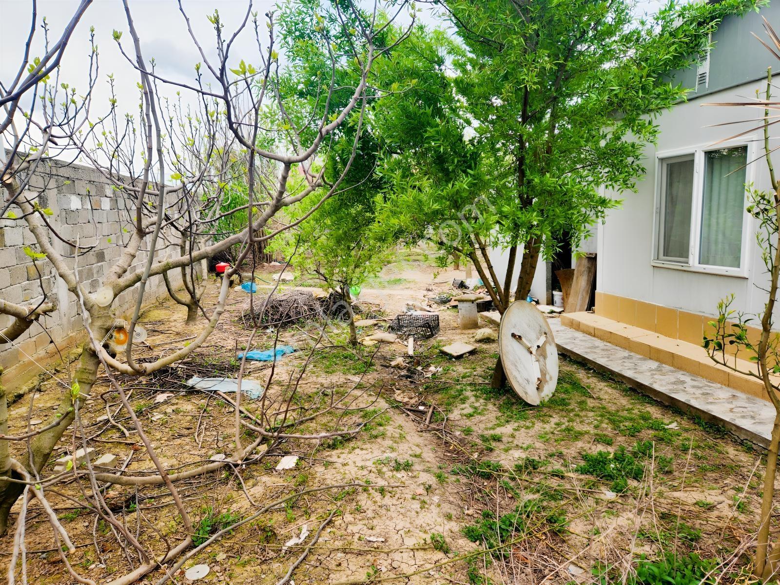 Setel Premiumdan M.kemalpaşa Ormankadı Da 600m2 İçinde Müstakil - Görsel 9