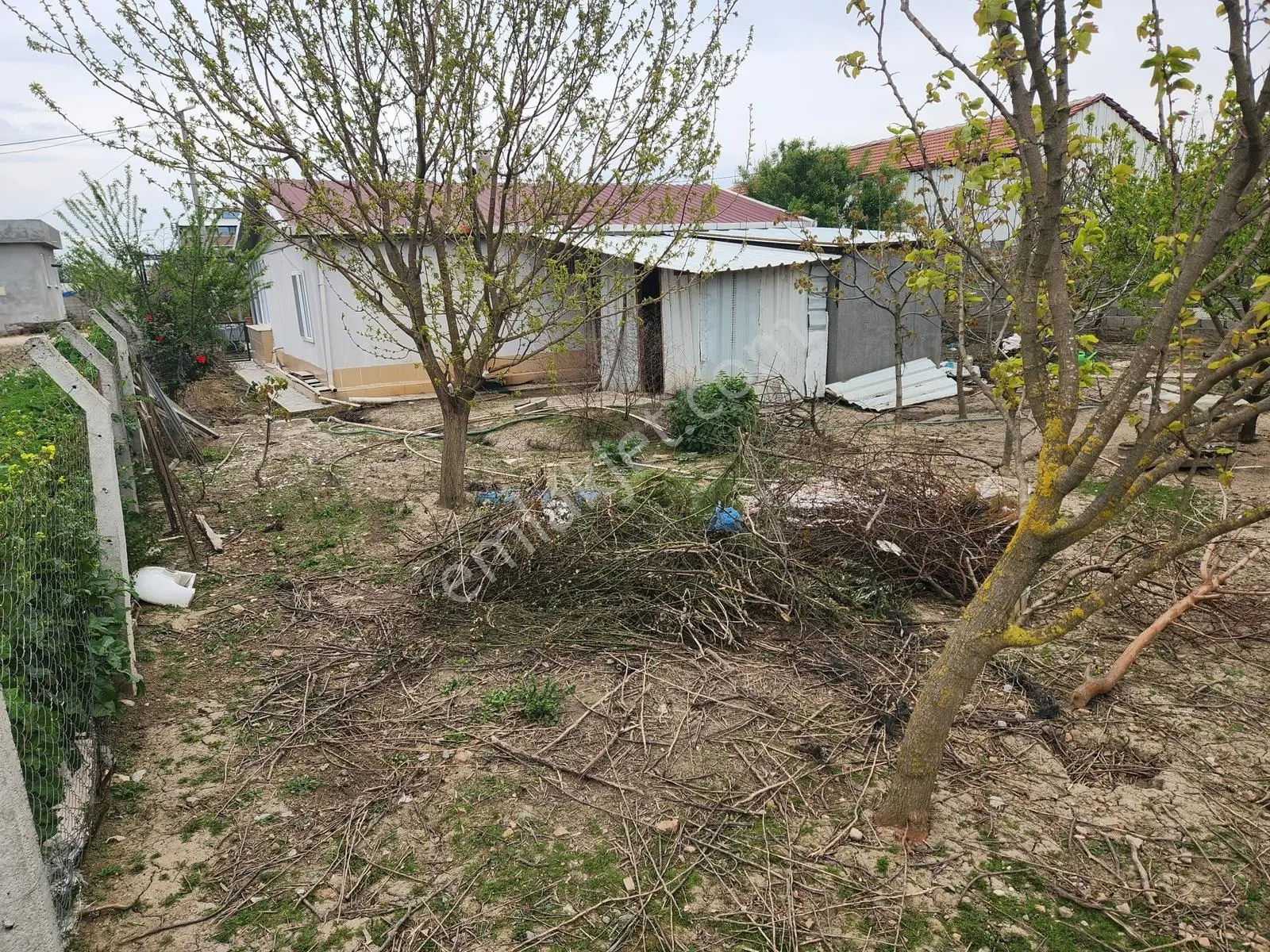 Setel Premiumdan M.kemalpaşa Ormankadı Da 600m2 İçinde Müstakil - Görsel 13