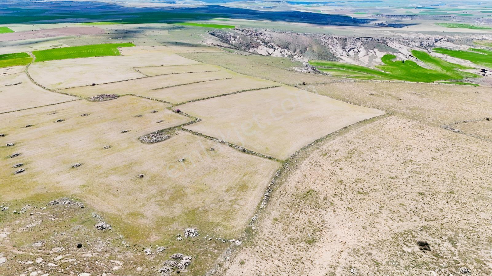 Güzelyurt-derinkuyu Yoluna Yakın Tarla-13100 M² - Görsel 4