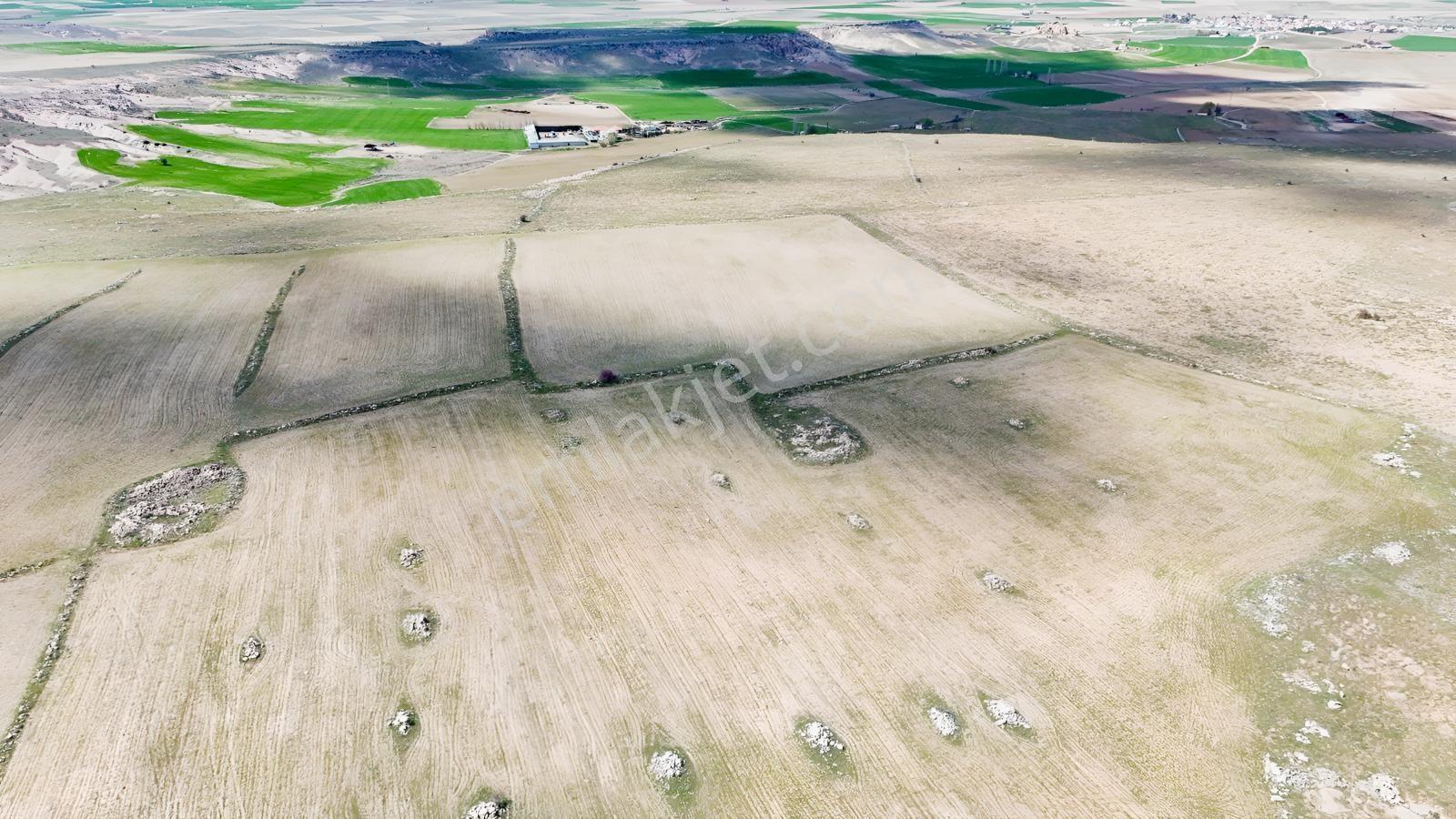 Güzelyurt-derinkuyu Yoluna Yakın Tarla-13100 M² - Görsel 8