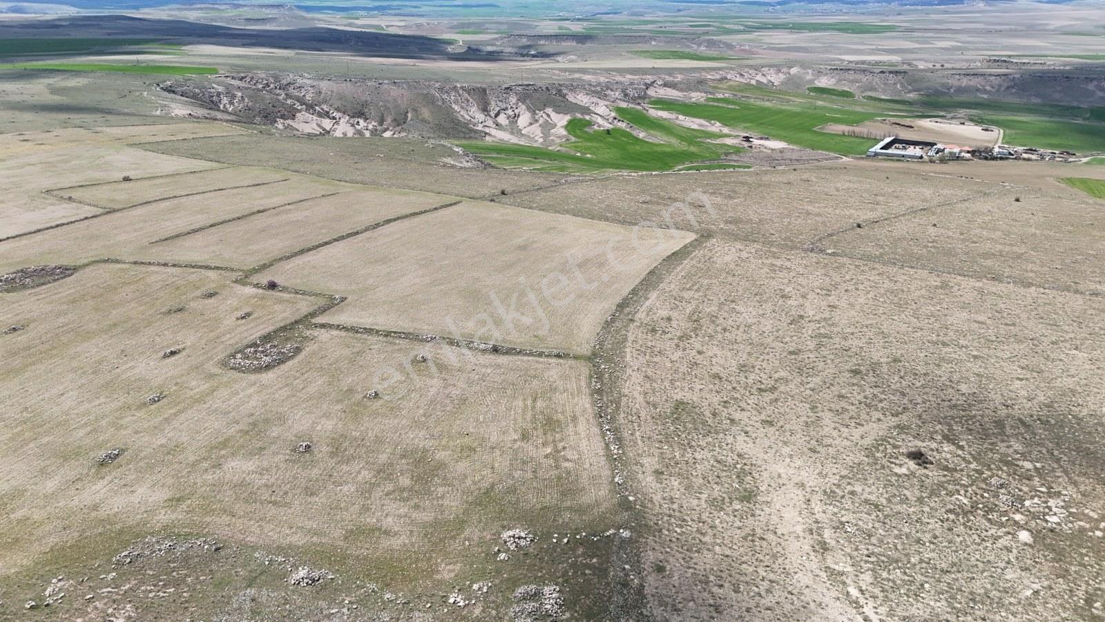 Güzelyurt-derinkuyu Yoluna Yakın Tarla-13100 M² - Görsel 2