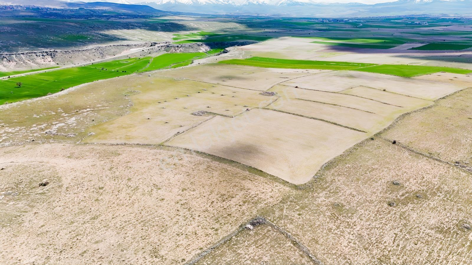 Güzelyurt-derinkuyu Yoluna Yakın Tarla-13100 M² - Görsel 3