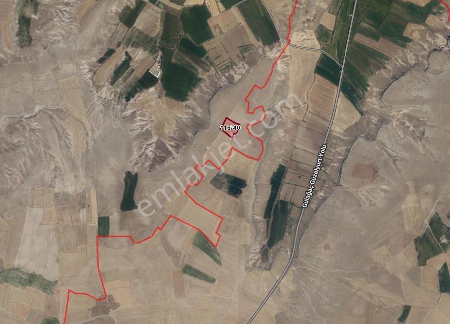 Güzelyurt-derinkuyu Yoluna Yakın Tarla-13100 M² - Görsel 6