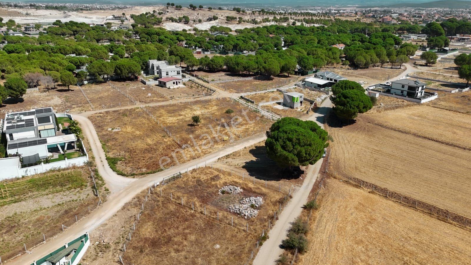 İzmir Menderes - Görsel 17