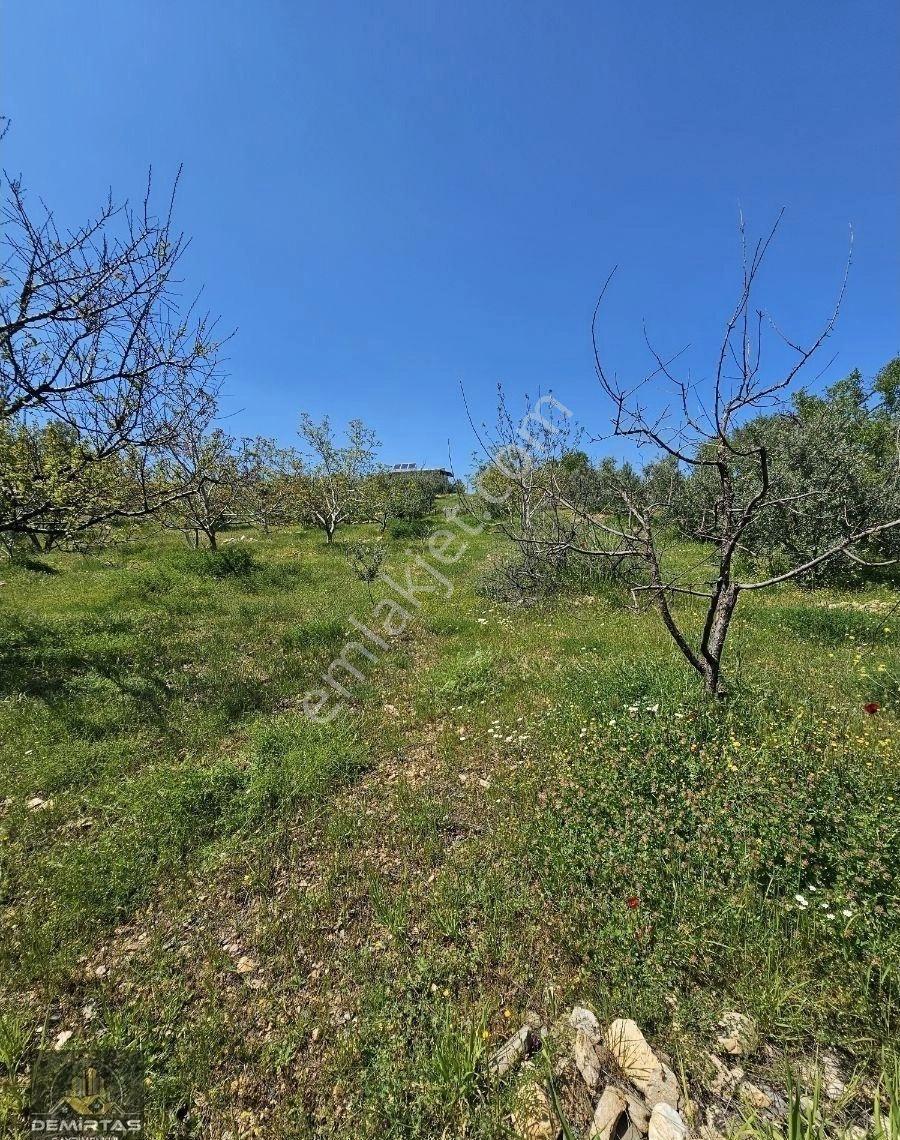 Göveçlik Yesilyayla Yolu Uzerı Satılık Tarla - Görsel 16