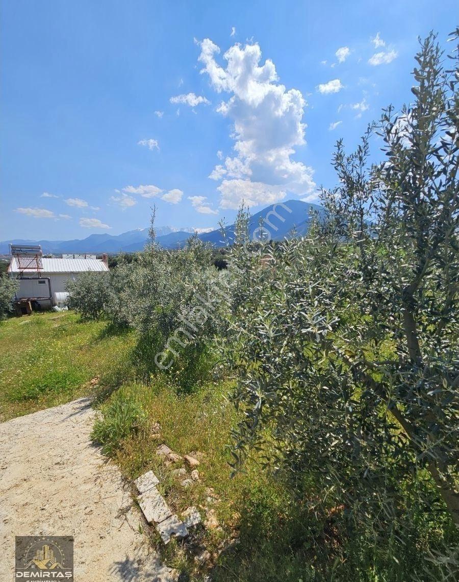 Göveçlik Yesilyayla Yolu Uzerı Satılık Tarla - Görsel 8