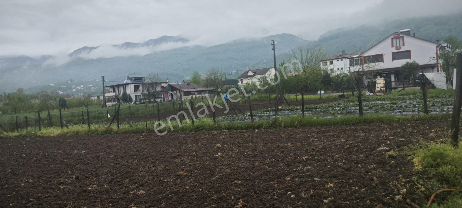 Mükemmel Konum İmarlı Merkezde - Görsel 7