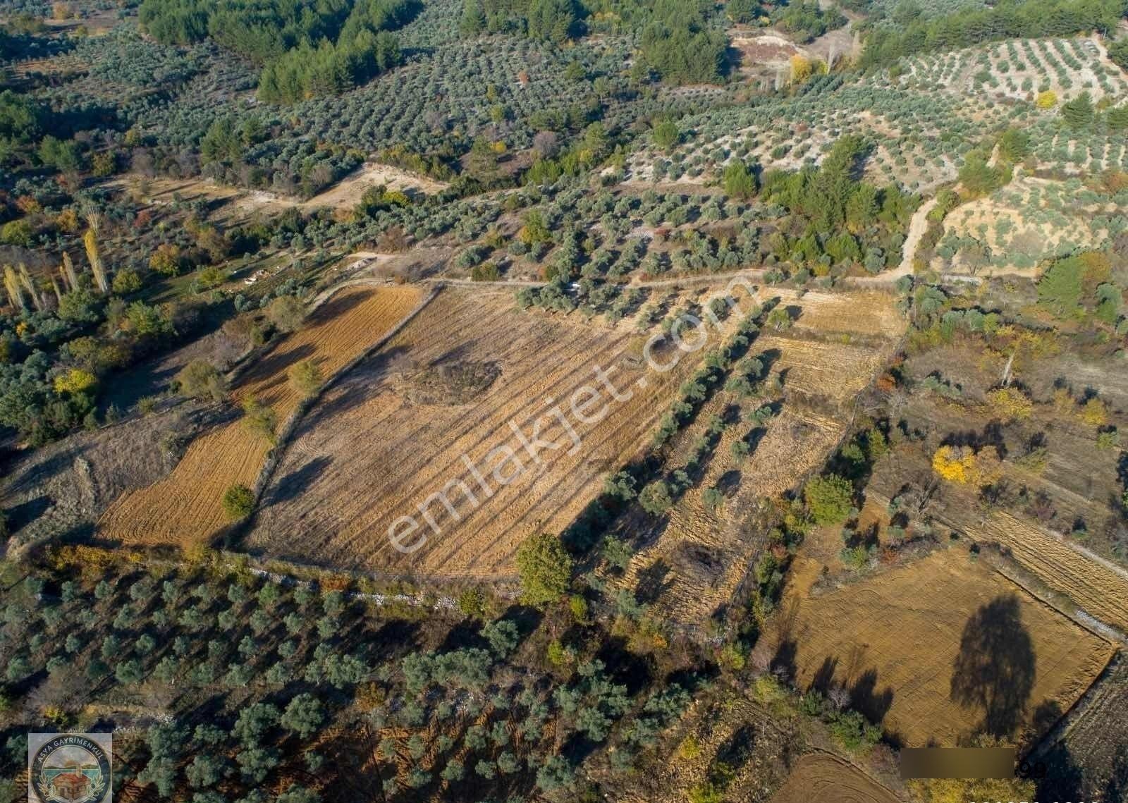 Yerkesikte Yatırım Değeri Yüksek Arazi - Görsel 15