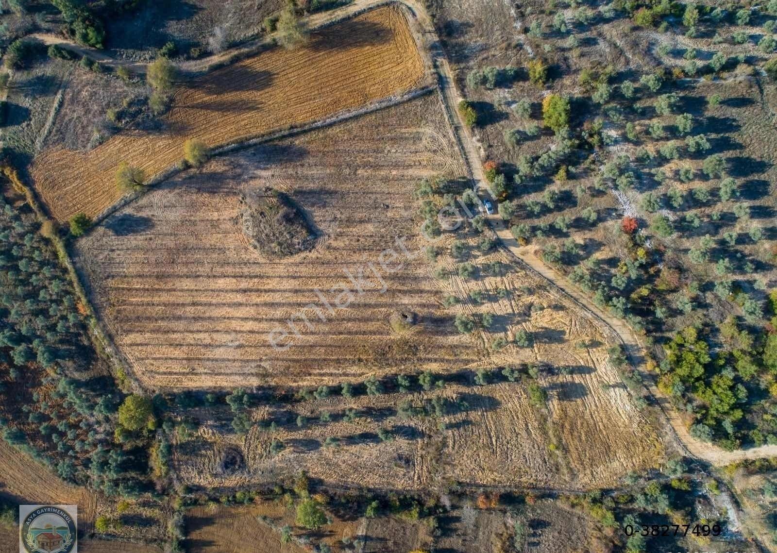 Yerkesikte Yatırım Değeri Yüksek Arazi - Görsel 8