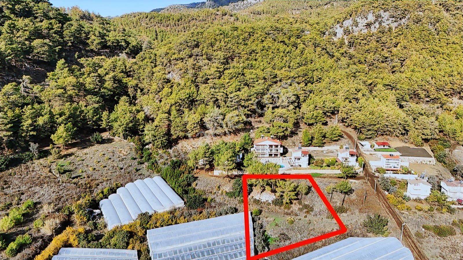 Antalya Kumluca Karaöz En Güzel Arsası 5237 M2 Deniz Manzaralı - Görsel 9