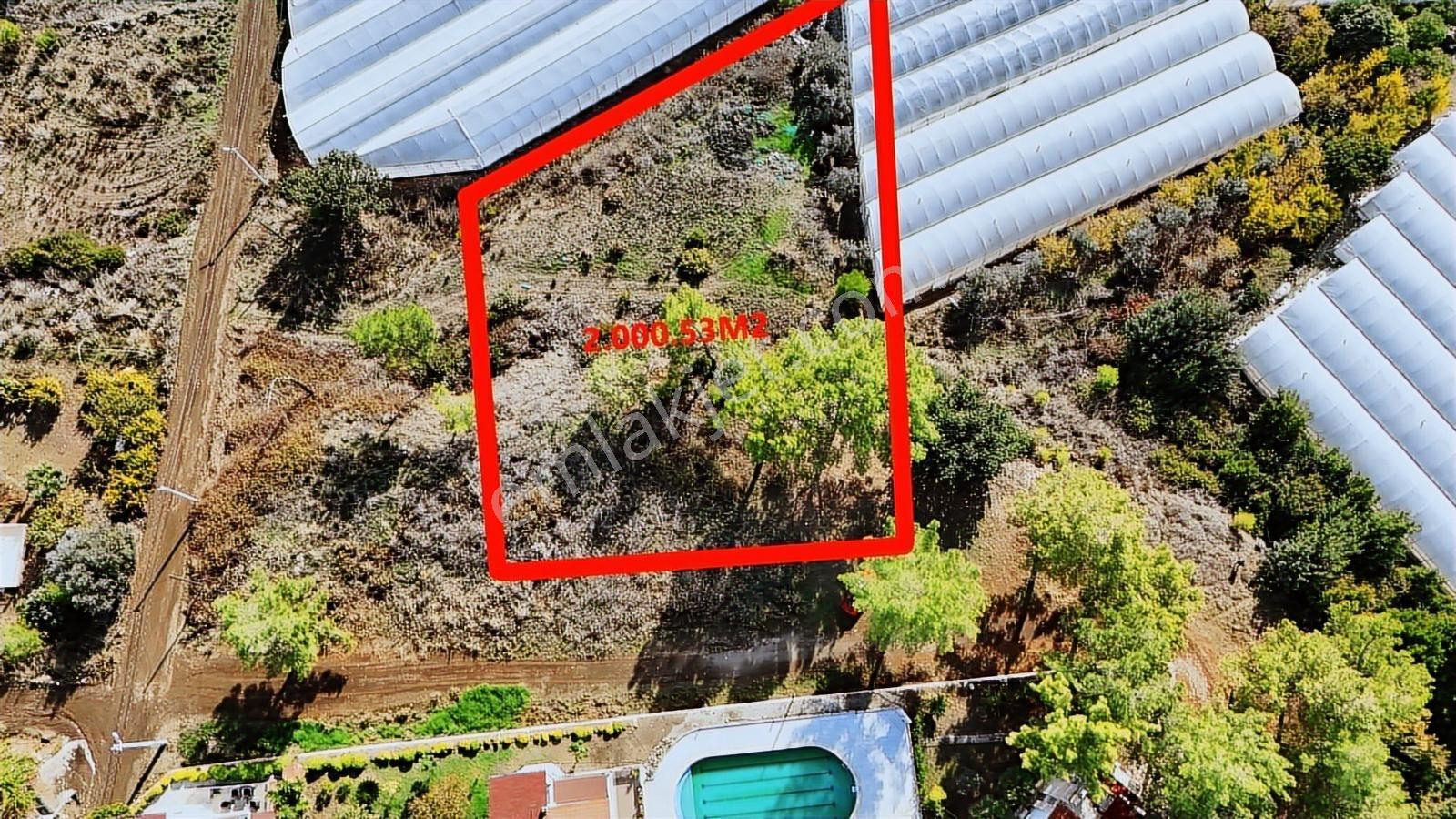 Antalya Kumluca Karaöz En Güzel Arsası 5237 M2 Deniz Manzaralı - Görsel 7