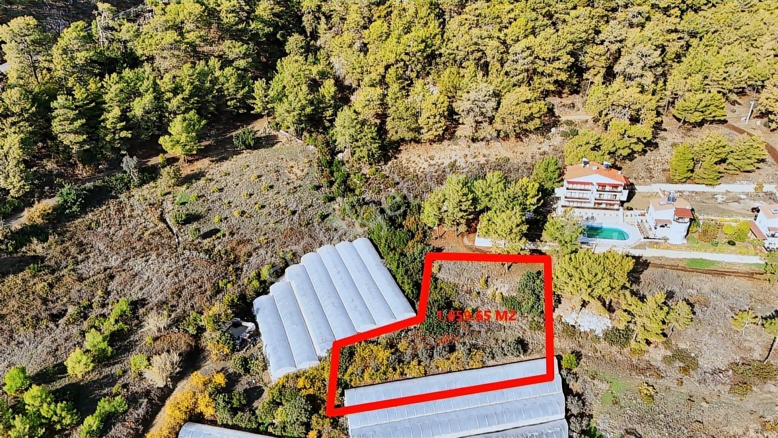 Antalya Kumluca Karaöz En Güzel Arsası 5237 M2 Deniz Manzaralı - Görsel 12