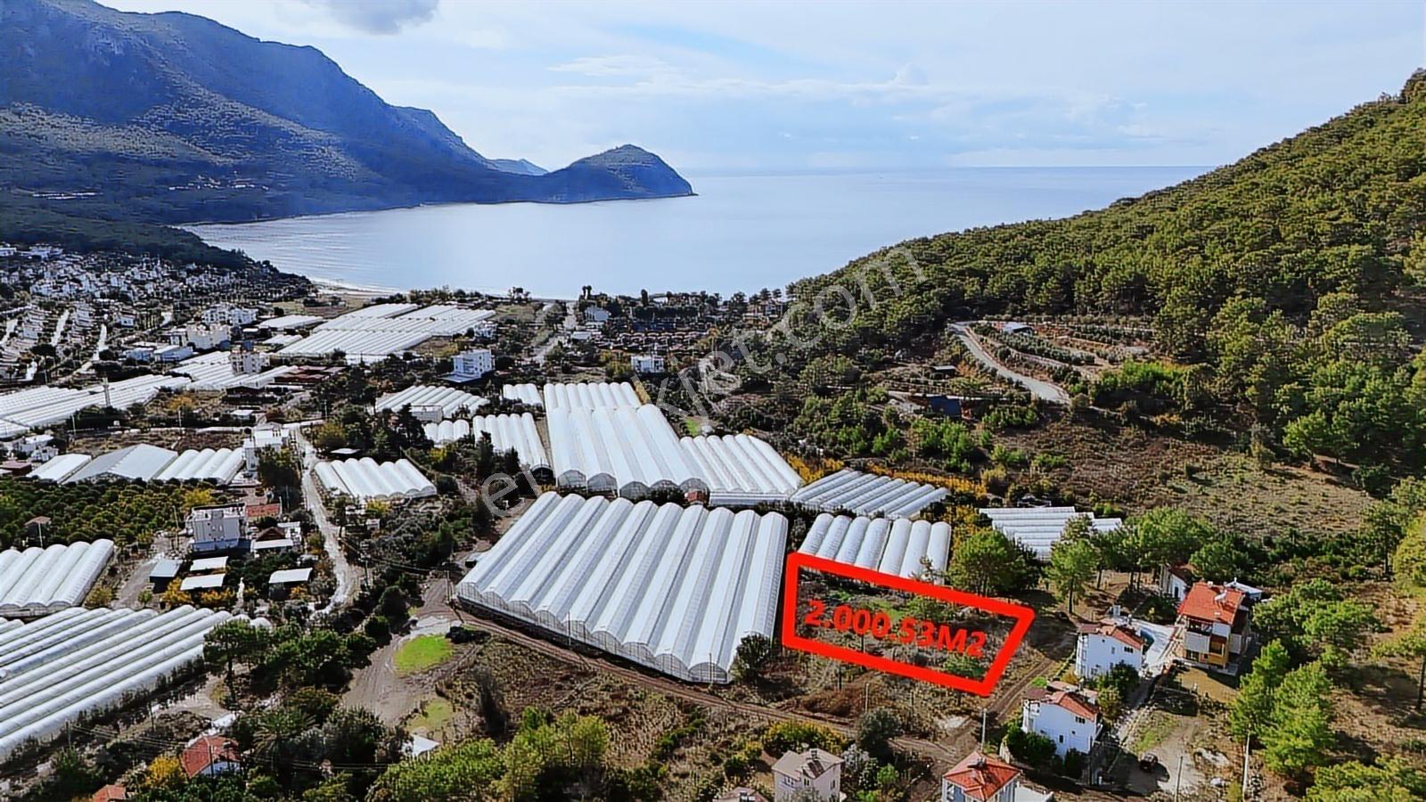 Antalya Kumluca Karaöz En Güzel Arsası 5237 M2 Deniz Manzaralı - Görsel 14