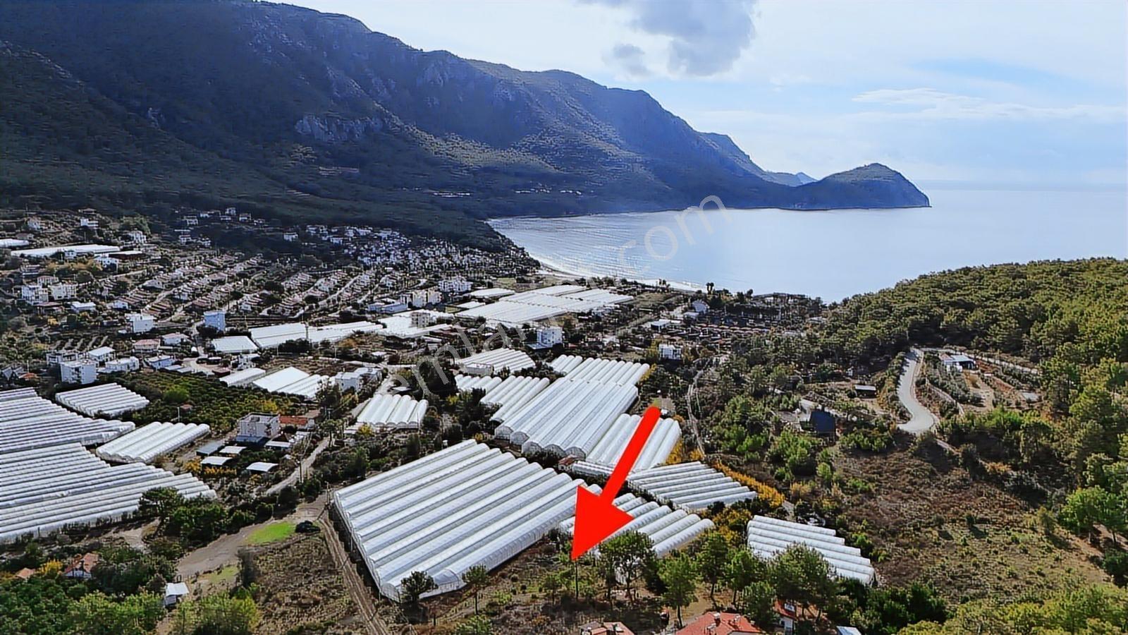 Antalya Kumluca Karaöz En Güzel Arsası 5237 M2 Deniz Manzaralı - Görsel 15