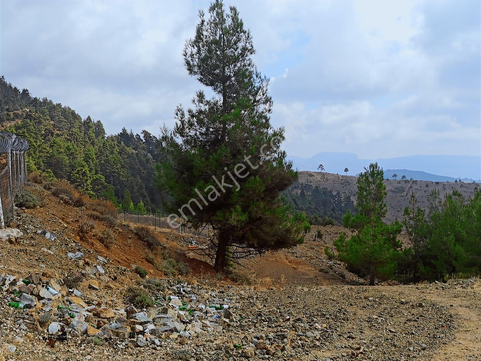 Mükemmel Konumlu Yaylalık 3540m2 Arazi Deniz Ve Mersin Manzaralı - Görsel 20