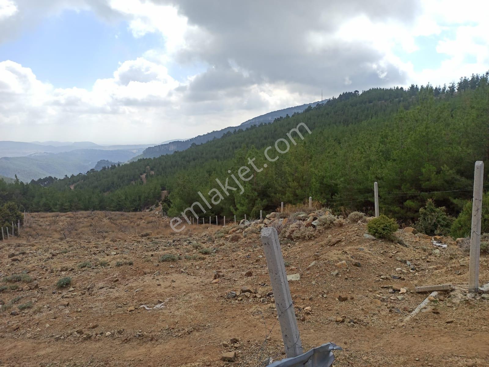 Mükemmel Konumlu Yaylalık 3540m2 Arazi Deniz Ve Mersin Manzaralı - Görsel 6
