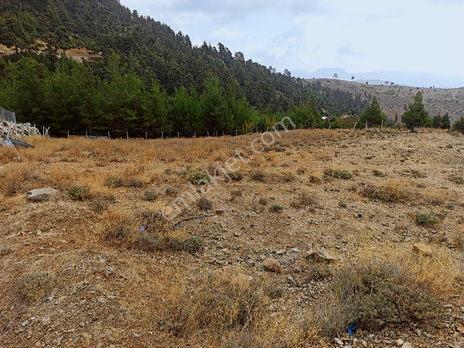 Mükemmel Konumlu Yaylalık 3540m2 Arazi Deniz Ve Mersin Manzaralı - Görsel 9