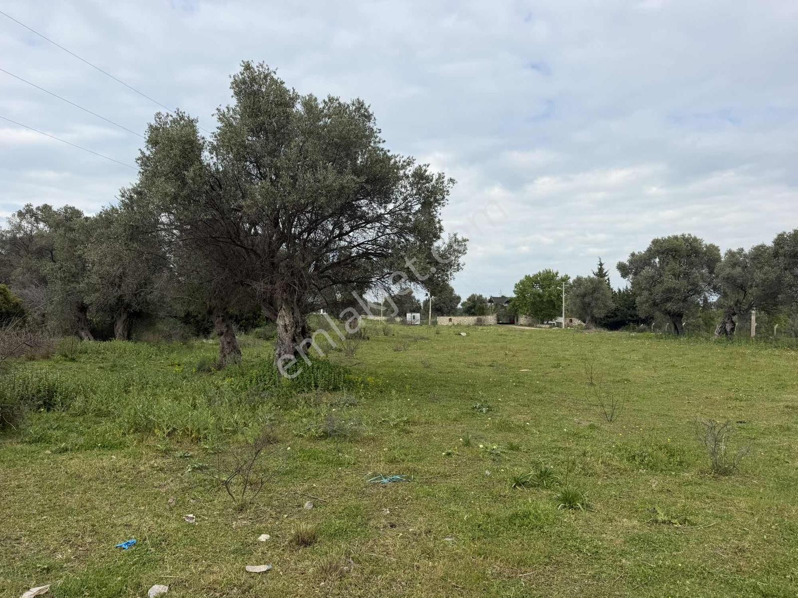 Monami'den Çamlı'da Merkezi 4600 M2 İmar Sınırında Satılık Tarla - Görsel 6