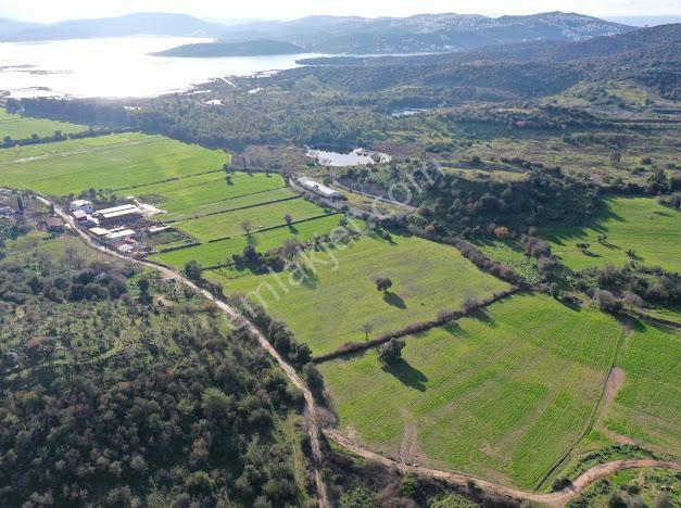 Milas Dörttepe Mevkiinde Ağaoğlu'na Komşu Yatırımlık Tarla - Görsel 17
