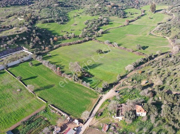 Milas Dörttepe Mevkiinde Ağaoğlu'na Komşu Yatırımlık Tarla - Görsel 8