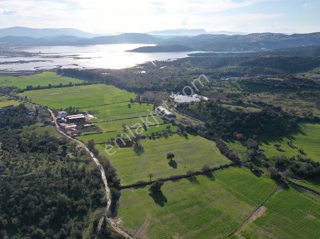 Milas Dörttepe Mevkiinde Ağaoğlu'na Komşu Yatırımlık Tarla - Görsel 3