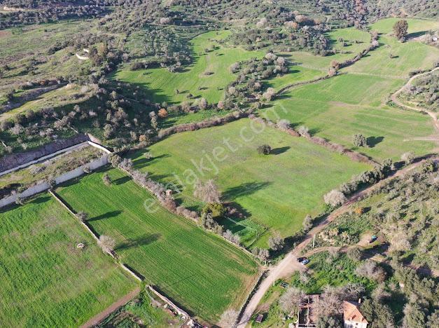 Milas Dörttepe Mevkiinde Ağaoğlu'na Komşu Yatırımlık Tarla - Görsel 20