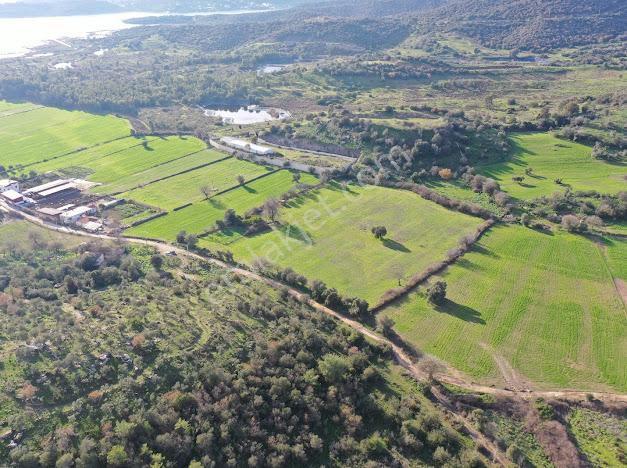 Milas Dörttepe Mevkiinde Ağaoğlu'na Komşu Yatırımlık Tarla - Görsel 7