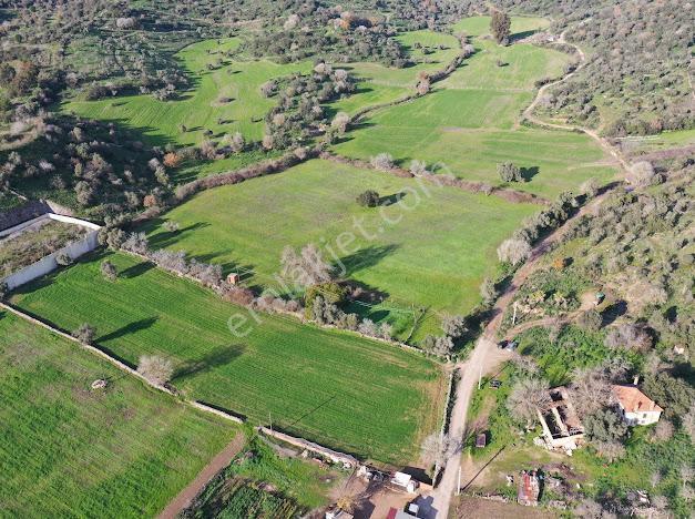 Milas Dörttepe Mevkiinde Ağaoğlu'na Komşu Yatırımlık Tarla - Görsel 18