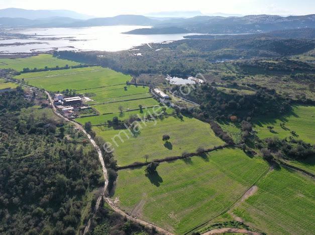 Milas Dörttepe Mevkiinde Ağaoğlu'na Komşu Yatırımlık Tarla - Görsel 5
