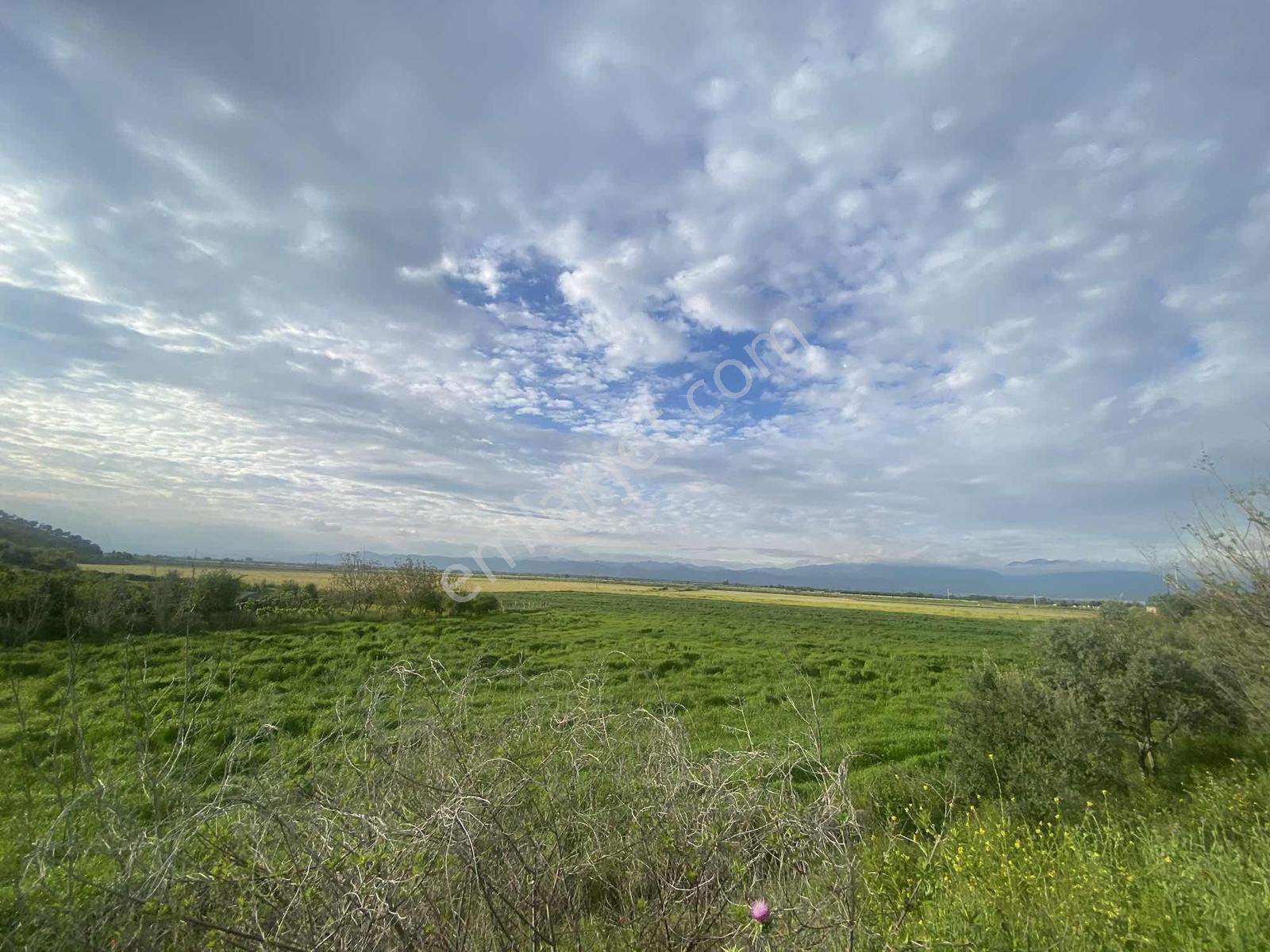 Remax Pin'den Ana Yola Cephe 18.895 M2 Alan İçinde Satılık Tarla - Görsel 13