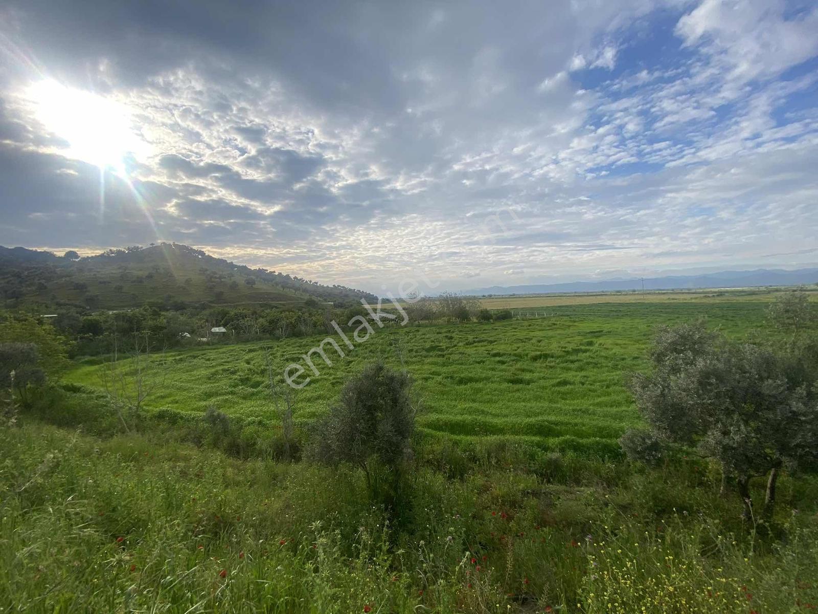 Remax Pin'den Ana Yola Cephe 18.895 M2 Alan İçinde Satılık Tarla - Görsel 8
