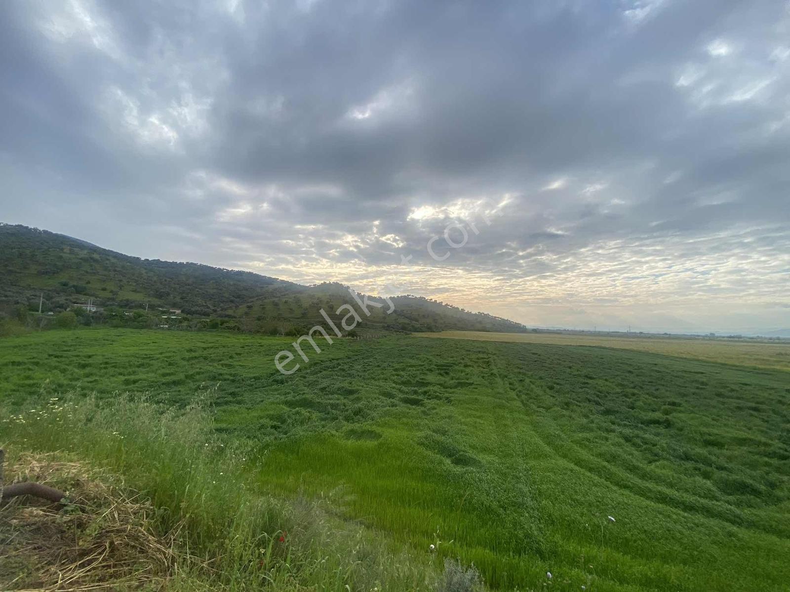 Remax Pin'den Ana Yola Cephe 18.895 M2 Alan İçinde Satılık Tarla - Görsel 22