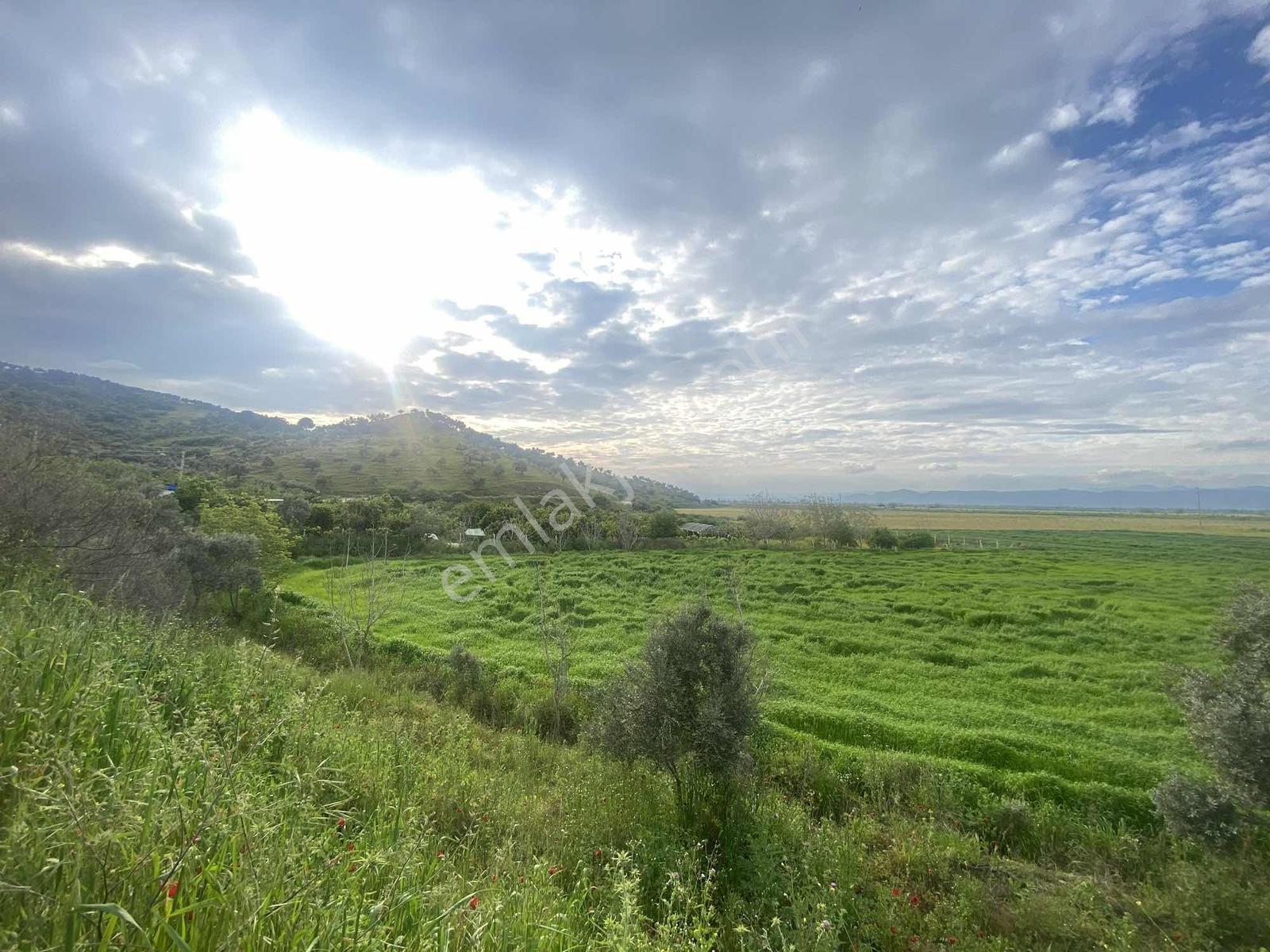 Remax Pin'den Ana Yola Cephe 18.895 M2 Alan İçinde Satılık Tarla - Görsel 11