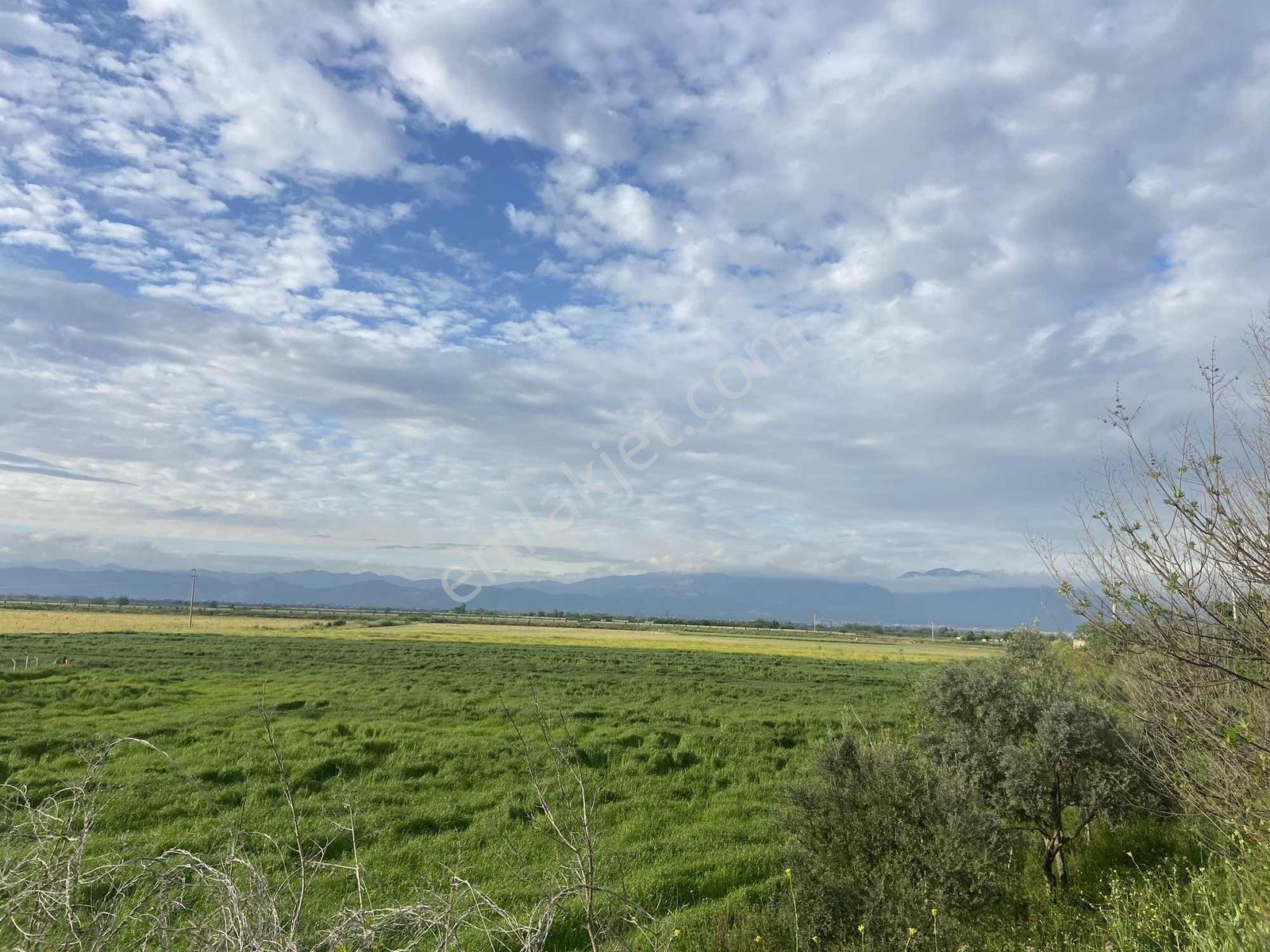 Remax Pin'den Ana Yola Cephe 18.895 M2 Alan İçinde Satılık Tarla - Görsel 14
