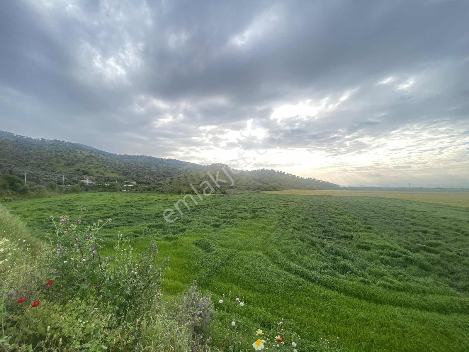 Remax Pin'den Ana Yola Cephe 18.895 M2 Alan İçinde Satılık Tarla - Görsel 26