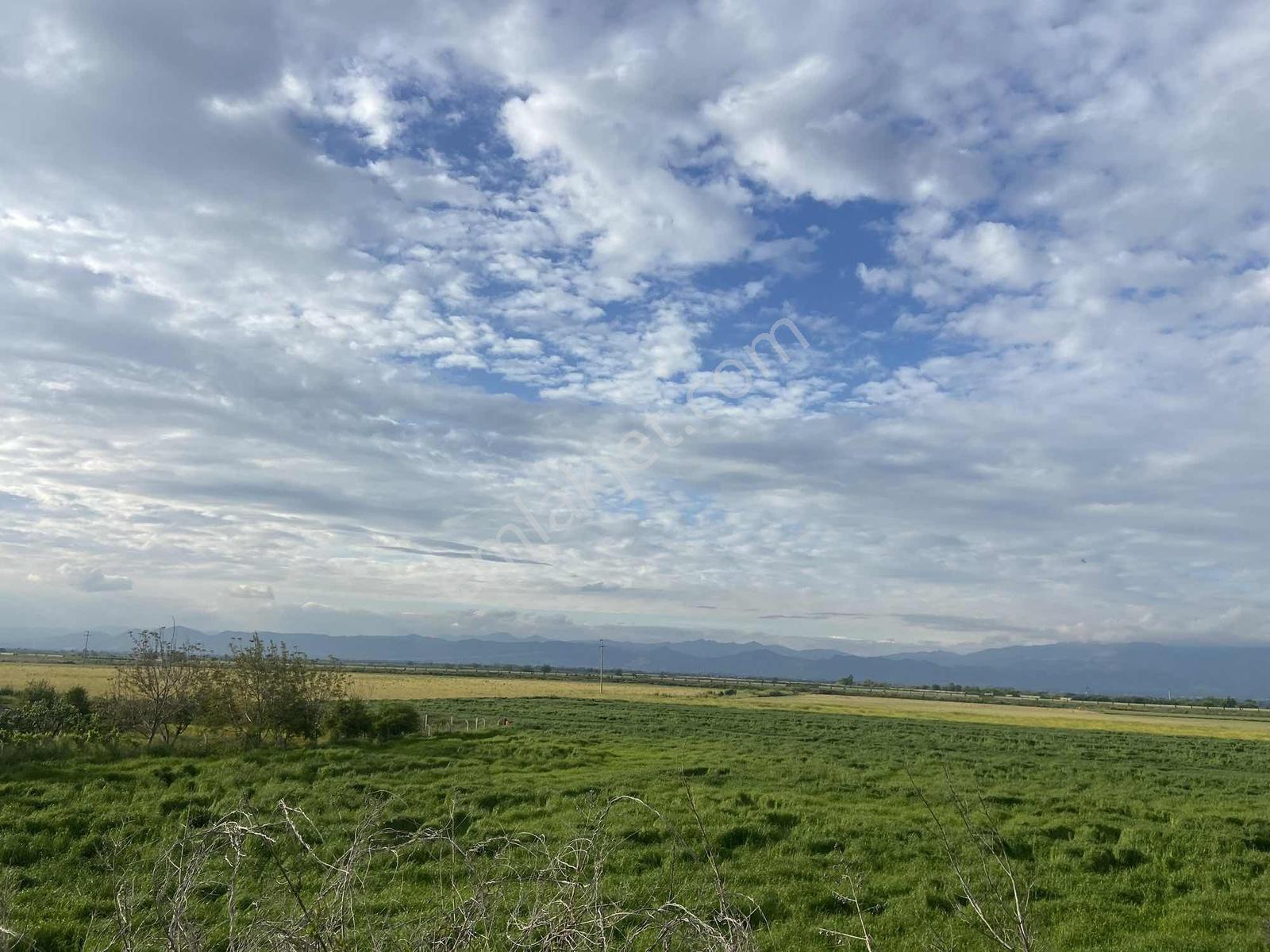 Remax Pin'den Ana Yola Cephe 18.895 M2 Alan İçinde Satılık Tarla - Görsel 16
