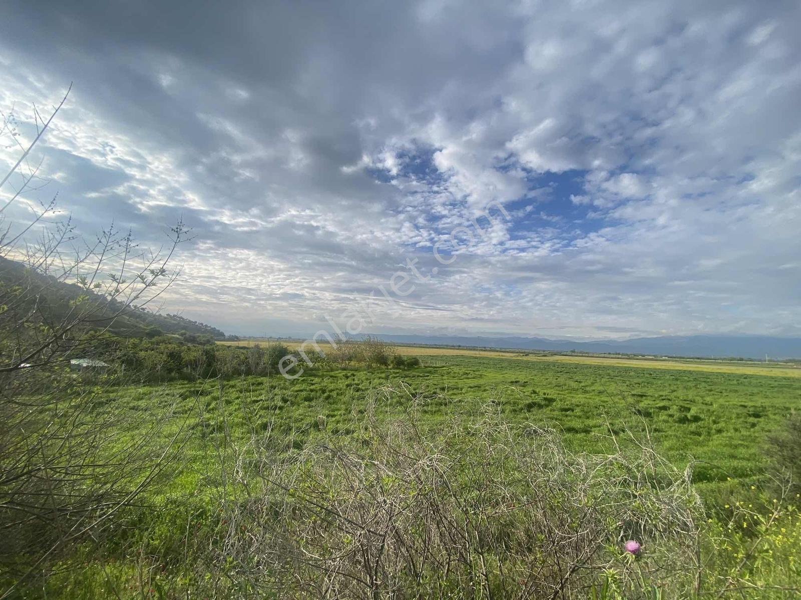 Remax Pin'den Ana Yola Cephe 18.895 M2 Alan İçinde Satılık Tarla - Görsel 18