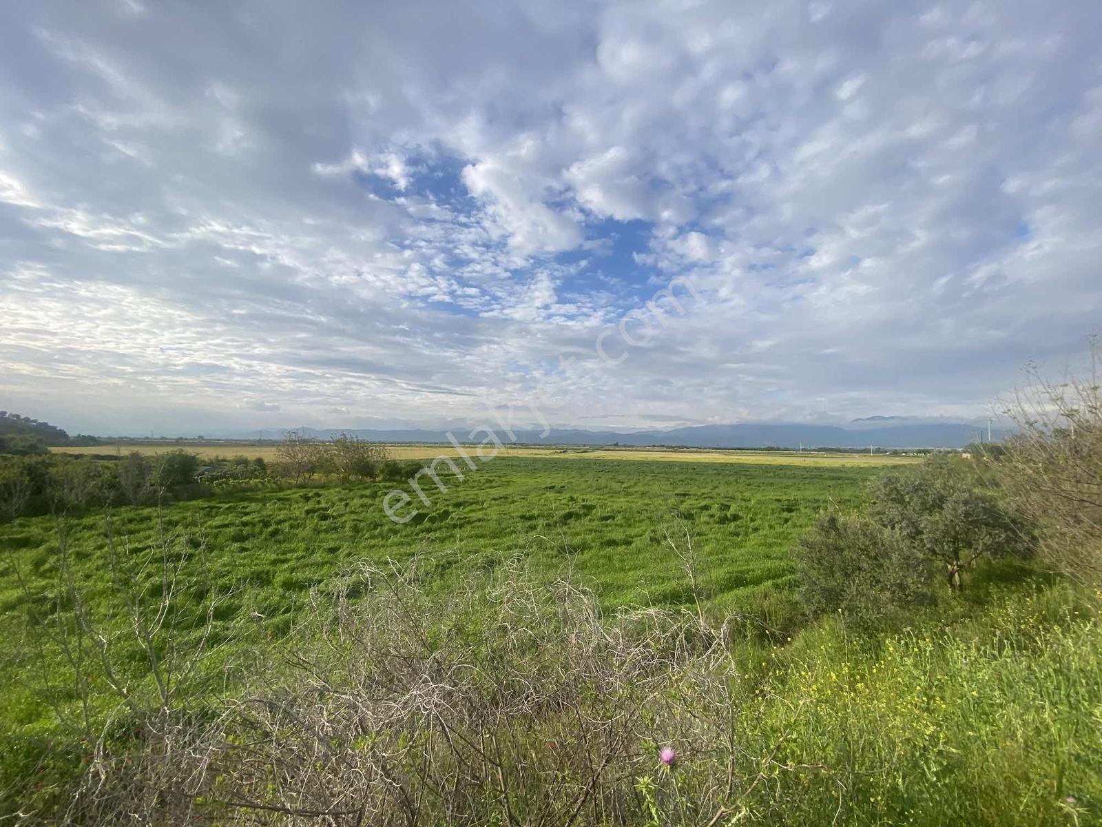 Remax Pin'den Ana Yola Cephe 18.895 M2 Alan İçinde Satılık Tarla - Görsel 35