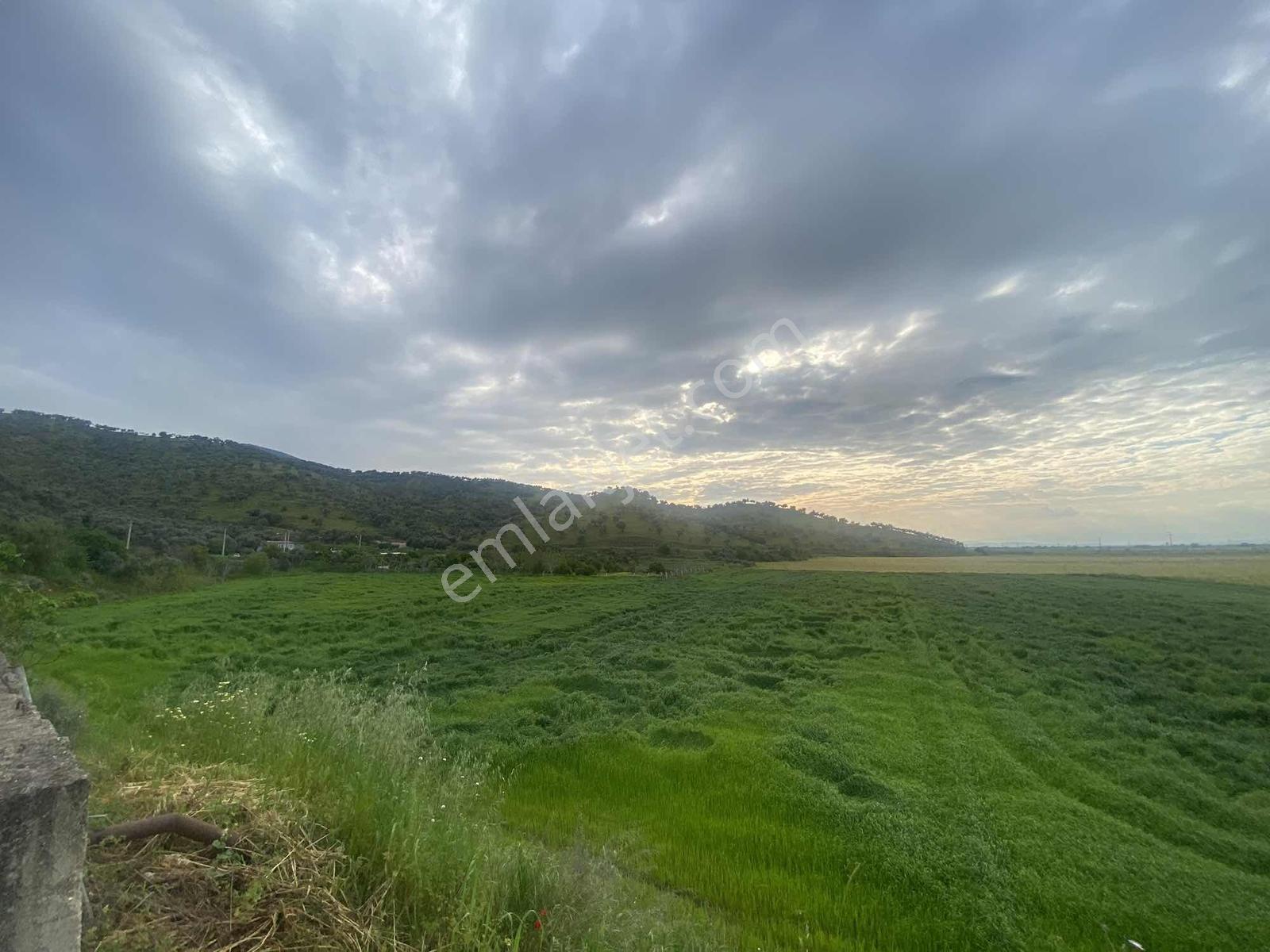 Remax Pin'den Ana Yola Cephe 18.895 M2 Alan İçinde Satılık Tarla - Görsel 3