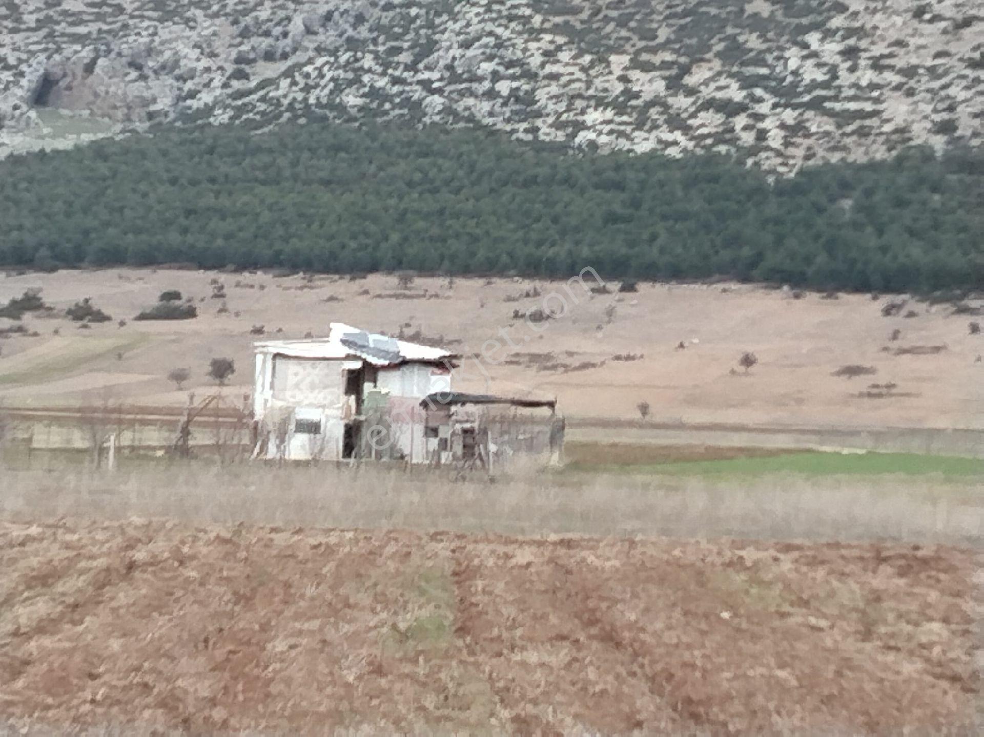 Antalya İli Korkuteli İlçesi Aşağı Bozova Mahallesi'nde Yatırımlık Tarla - Görsel 2